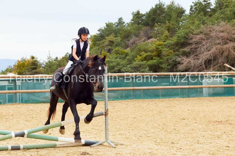 M2C0545-14-29 M2C0545-14-29