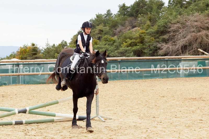 M2C0546-14-29 M2C0546-14-29