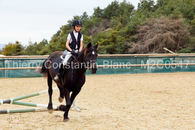 M2C0547-14-29 M2C0547-14-29