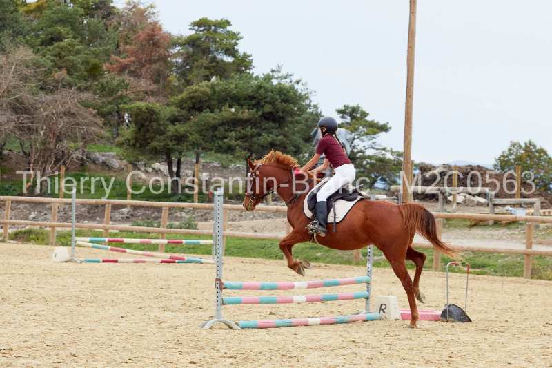 M2C0563-14-37 M2C0563-14-37