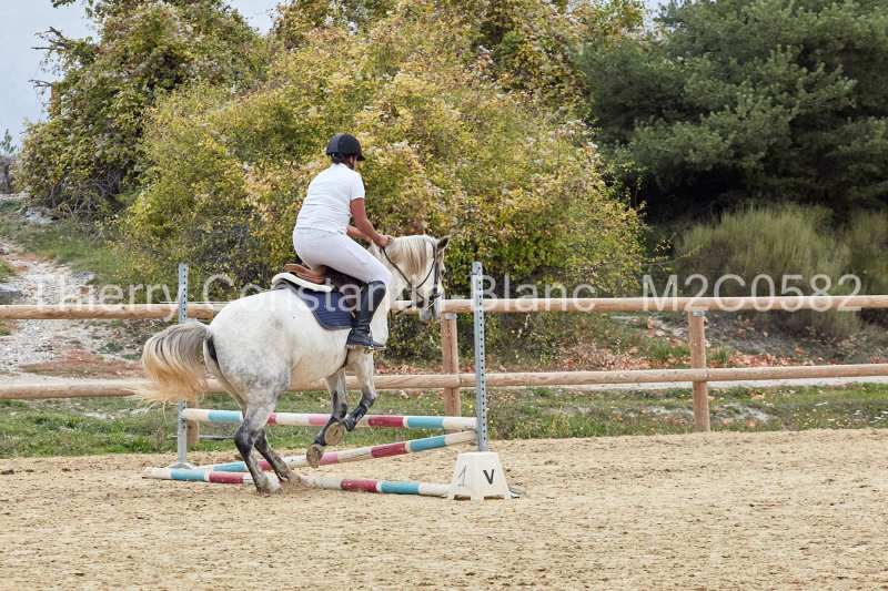 M2C0582-14-41 M2C0582-14-41