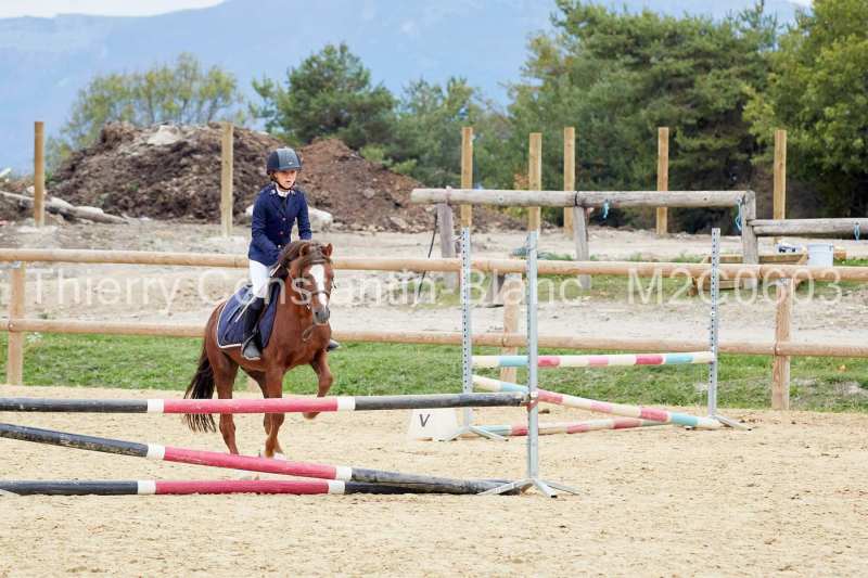 M2C0603-14-46 M2C0603-14-46