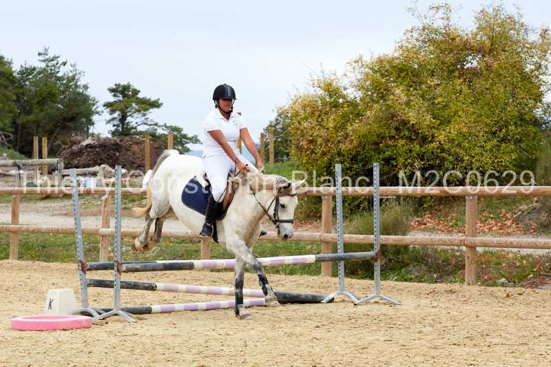 M2C0629-14-51 M2C0629-14-51