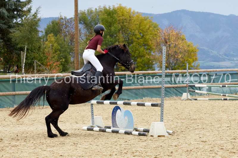 M2C0770-15-13 M2C0770-15-13