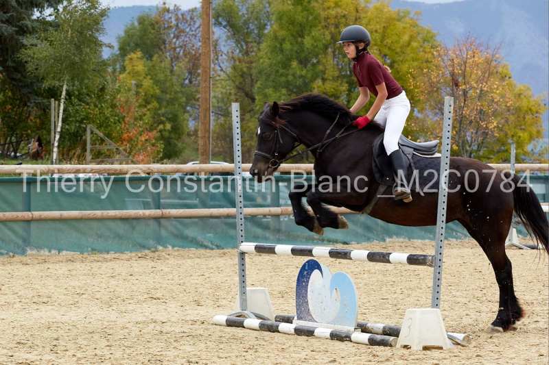 M2C0784-15-14 M2C0784-15-14