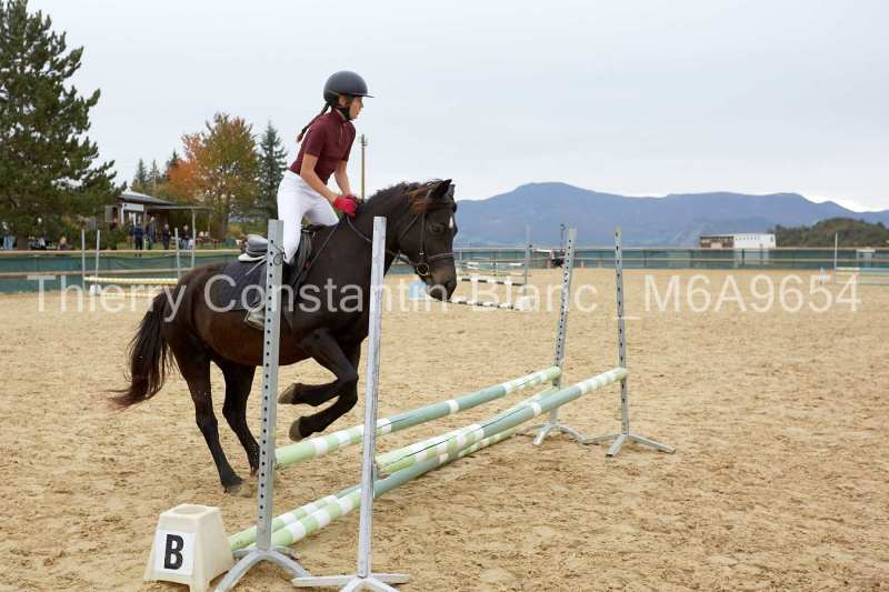 M6A9654-13-46 M6A9654-13-46