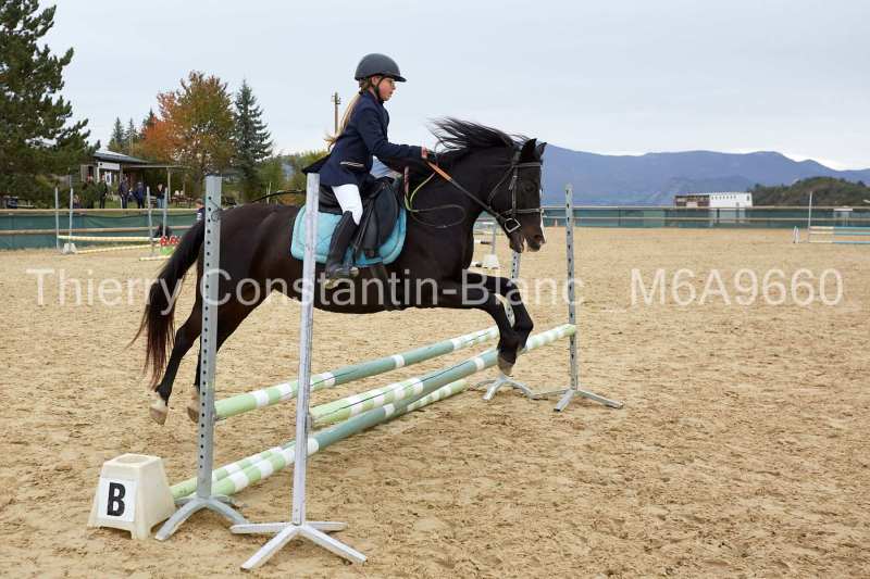 M6A9660-13-48 M6A9660-13-48