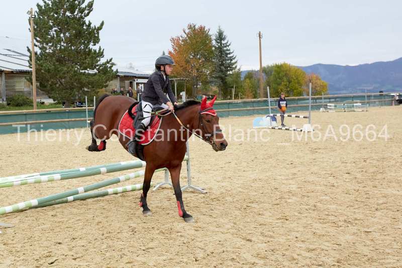 M6A9664-13-50 M6A9664-13-50