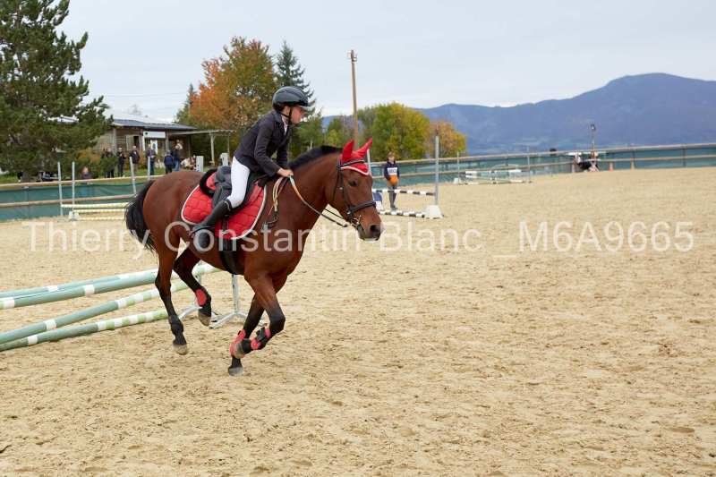 M6A9665-13-50 M6A9665-13-50