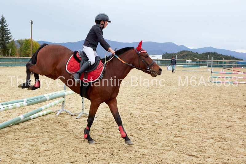 M6A9683-14-01 M6A9683-14-01