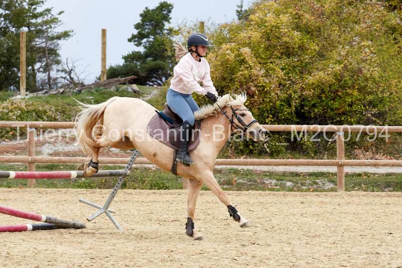 M2C0794-15-36 M2C0794-15-36