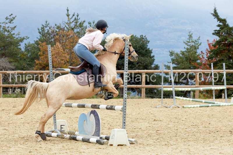 M2C0797-15-36 M2C0797-15-36