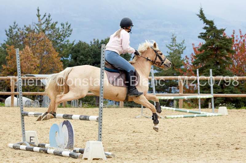 M2C0798-15-36 M2C0798-15-36