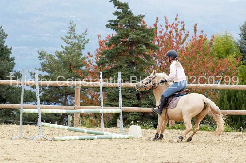 M2C0799-15-36 M2C0799-15-36