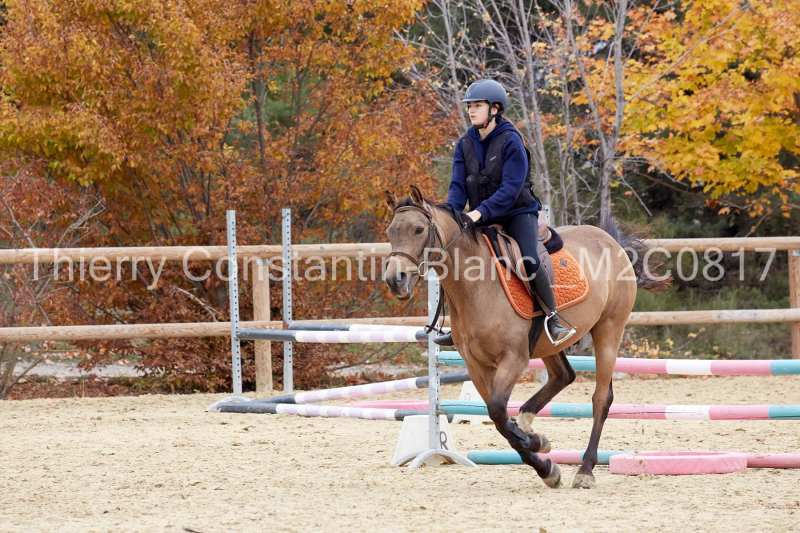 M2C0817-15-39 M2C0817-15-39