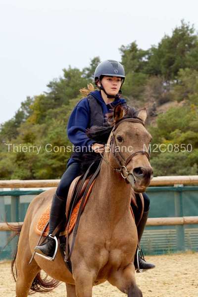 M2C0850-15-49 M2C0850-15-49