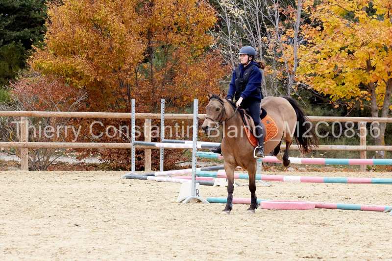 M2C0856-15-50 M2C0856-15-50