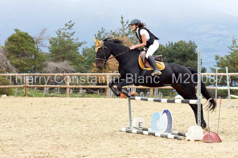 M2C0873-15-52 M2C0873-15-52