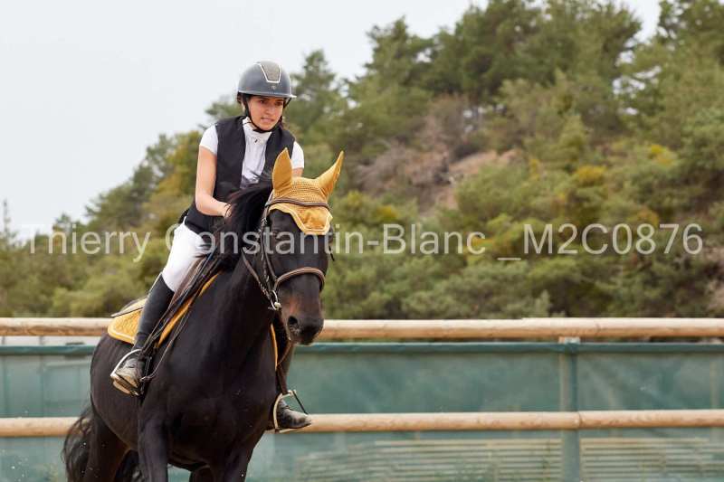 M2C0876-15-52 M2C0876-15-52