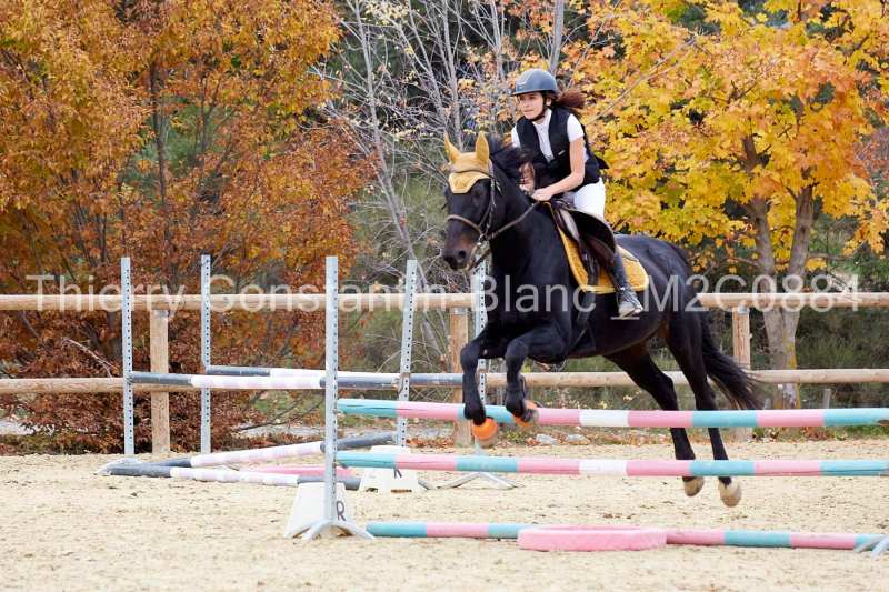 M2C0884-15-52 M2C0884-15-52