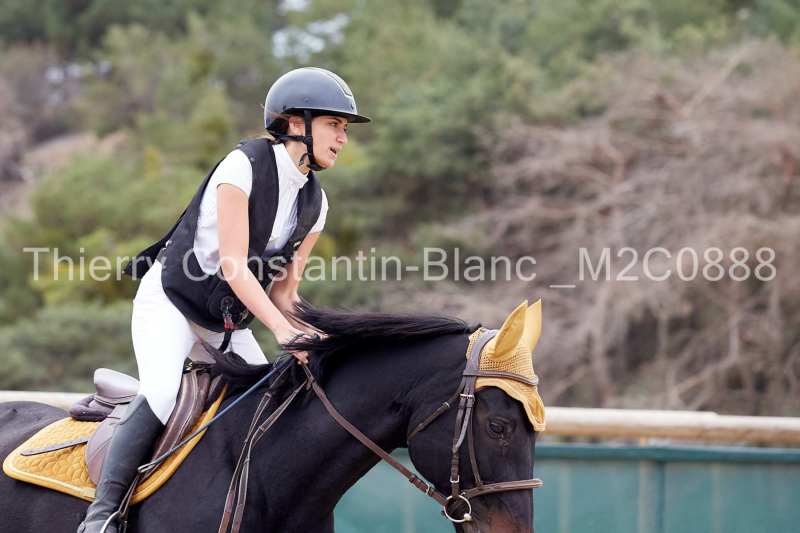 M2C0888-15-52 M2C0888-15-52