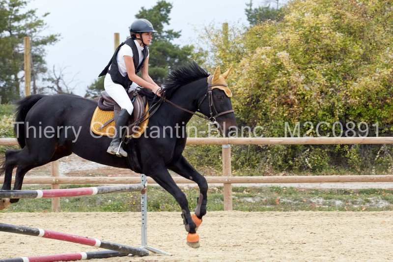 M2C0891-15-52 M2C0891-15-52