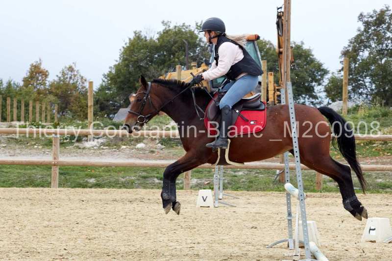 M2C0908-15-55 M2C0908-15-55