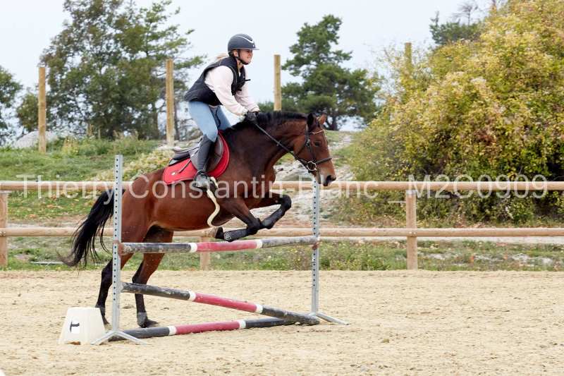 M2C0909-15-55 M2C0909-15-55