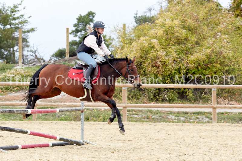 M2C0910-15-55 M2C0910-15-55