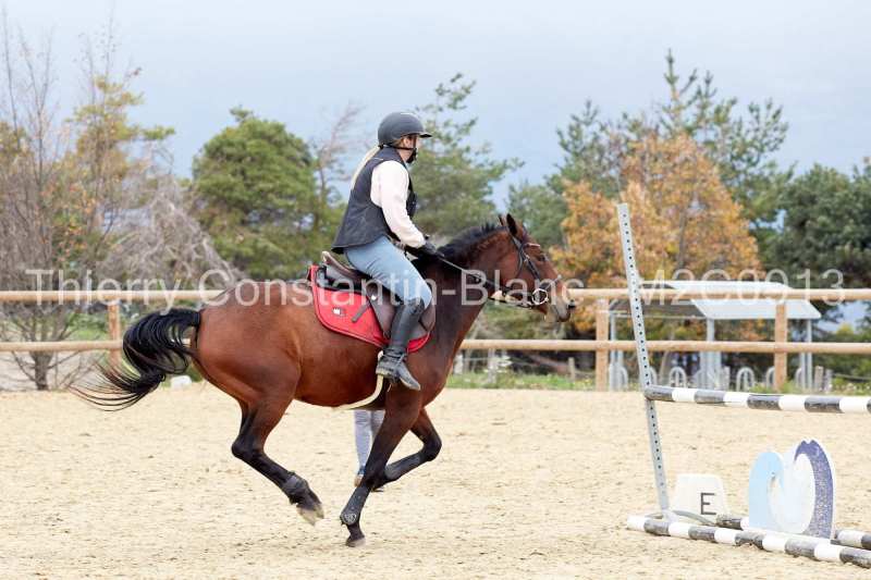 M2C0913-15-55 M2C0913-15-55