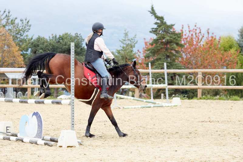 M2C0916-15-55 M2C0916-15-55