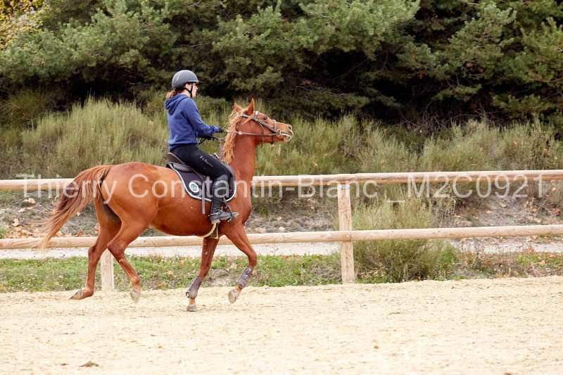 M2C0921-15-56 M2C0921-15-56