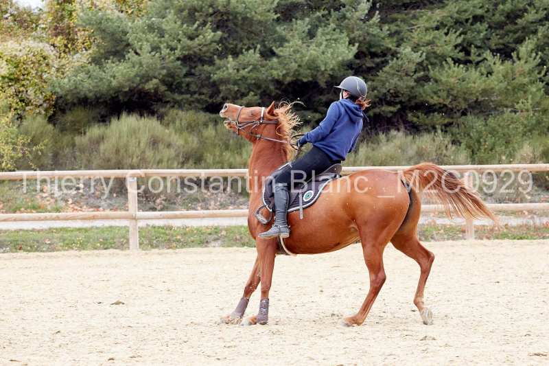 M2C0929-15-56 M2C0929-15-56