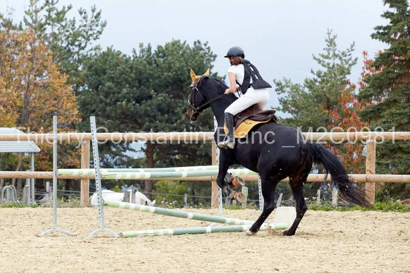 M2C0981-16-05 M2C0981-16-05