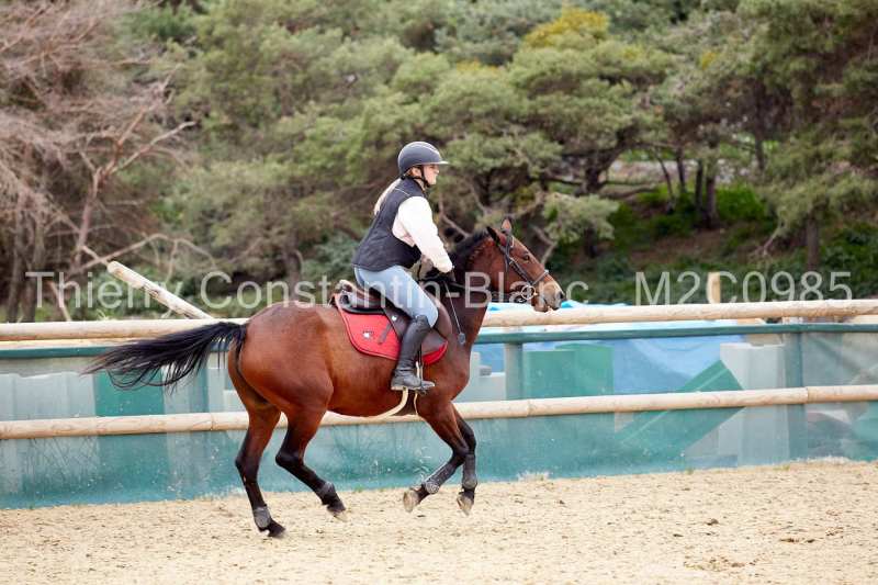 M2C0985-16-06 M2C0985-16-06