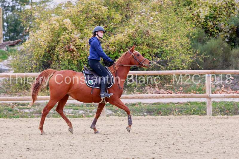 M2C1018-16-09 M2C1018-16-09