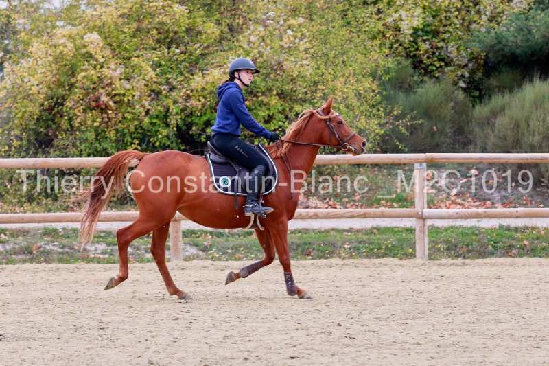 M2C1019-16-09 M2C1019-16-09