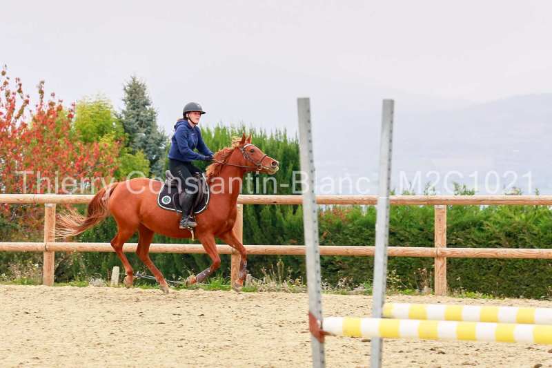 M2C1021-16-09 M2C1021-16-09